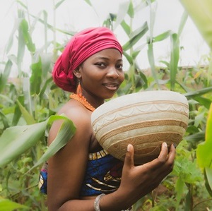 Desenvolvimento Comunitário